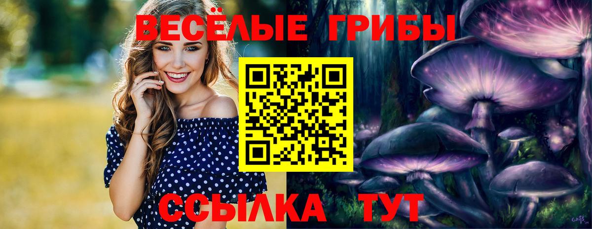 Галлюциногенные грибы Psilocybine cubensis Моздок